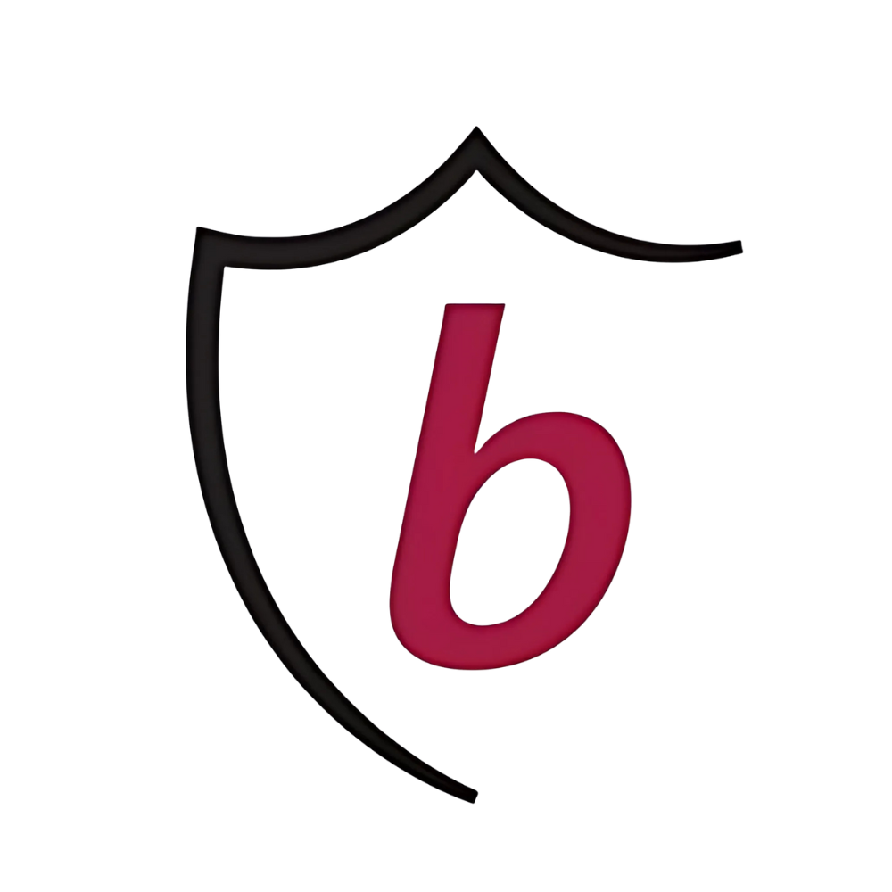 Baron Payroll